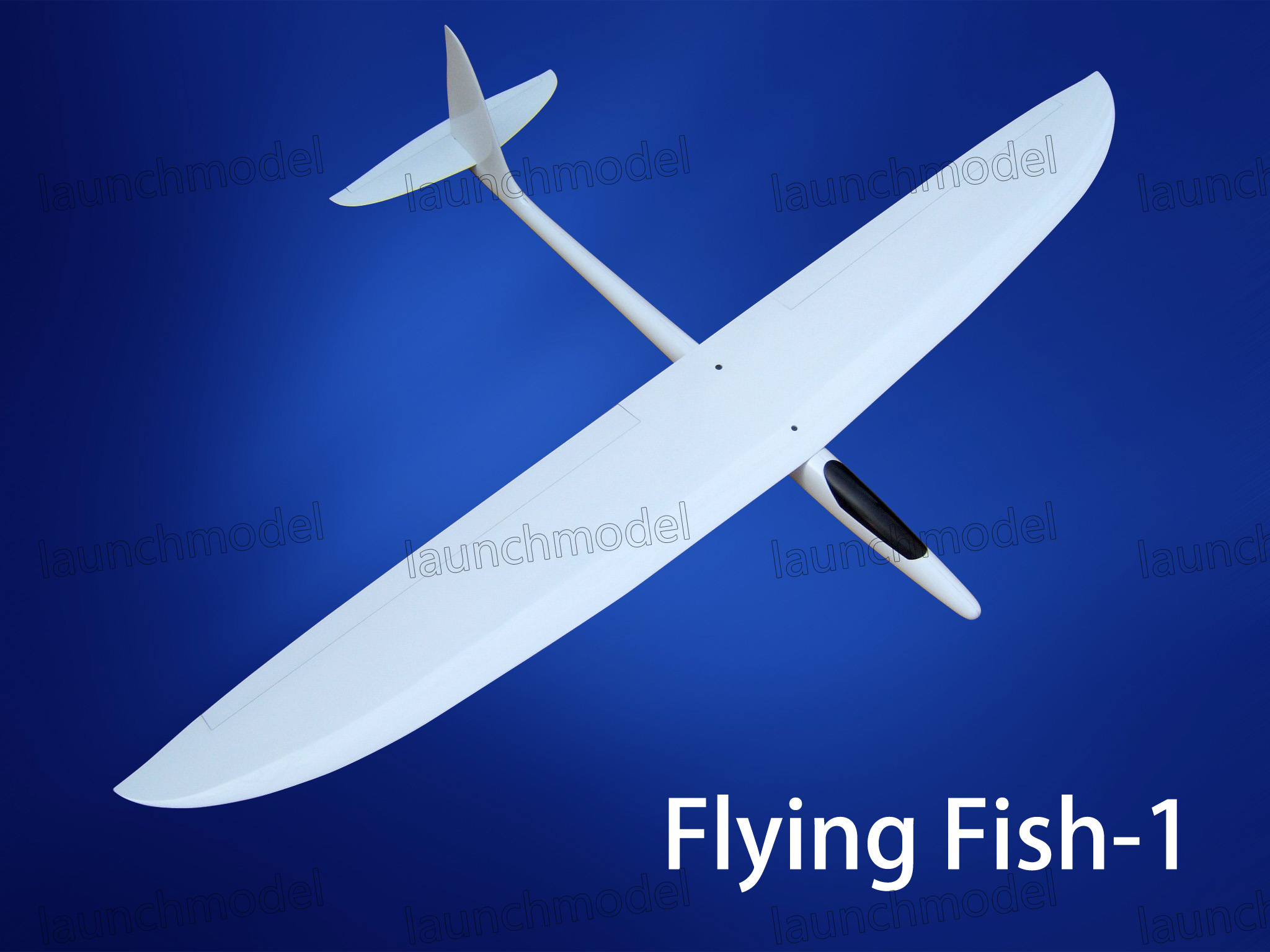 FLYING FISH -1